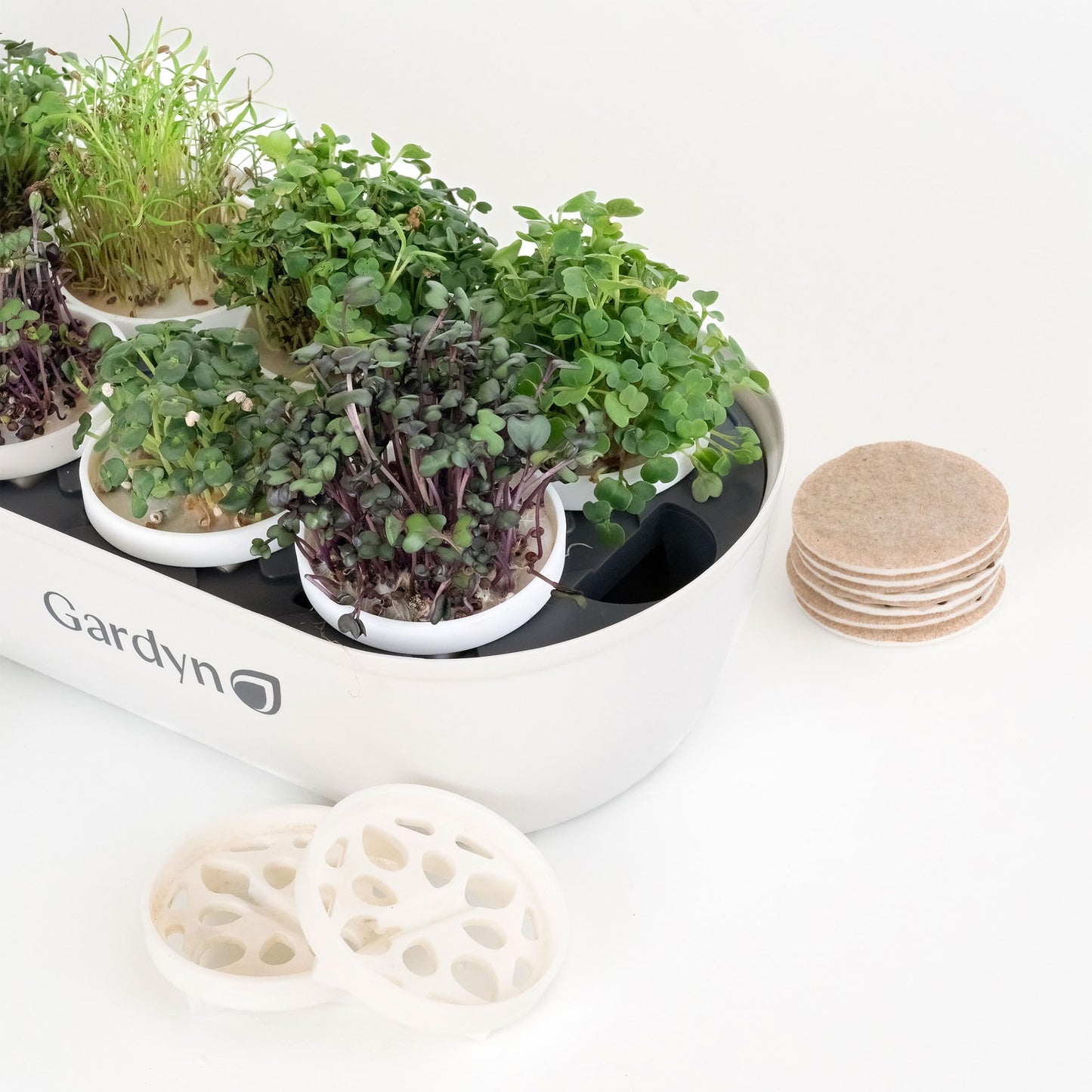 GARDYN Complete Microgreens Growing Kit - Indoor Herb Garden - Indoor Hydroponics Growing System Kit Nursery Seed