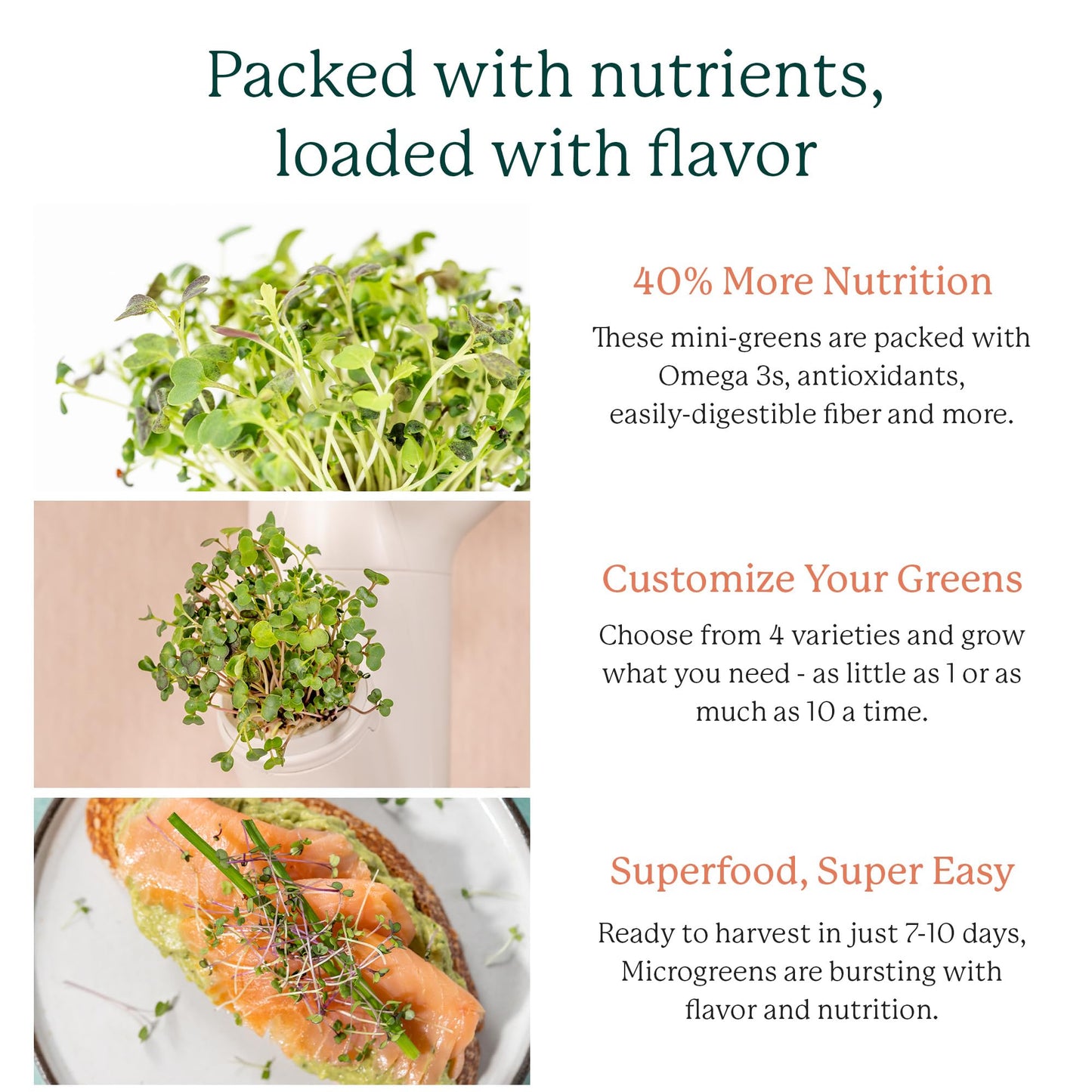 GARDYN Complete Microgreens Growing Kit - Indoor Herb Garden - Indoor Hydroponics Growing System Kit Nursery Seed