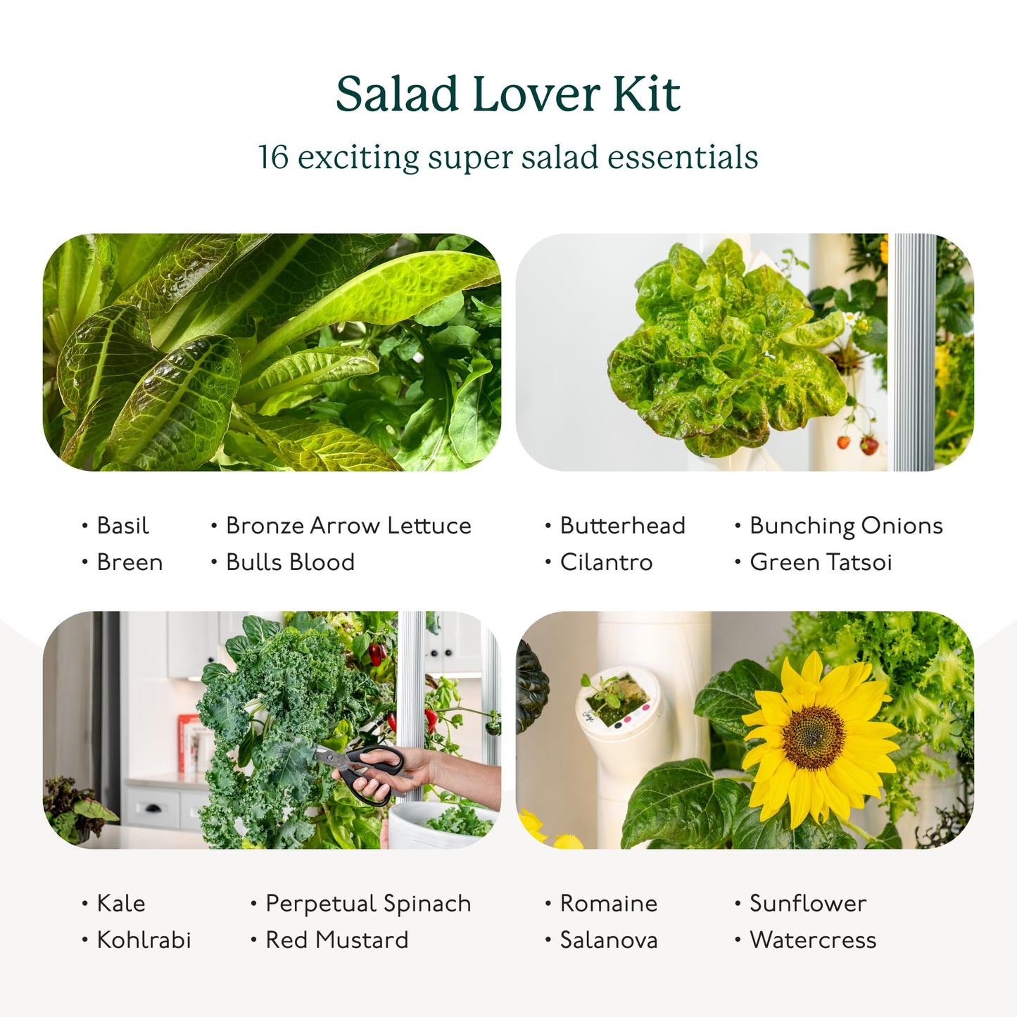 Gardyn Studio Hydroponics Growing System Kit & Vertical Indoor Garden Planter | Smart Herb Garden | Includes 16 Non-GMO