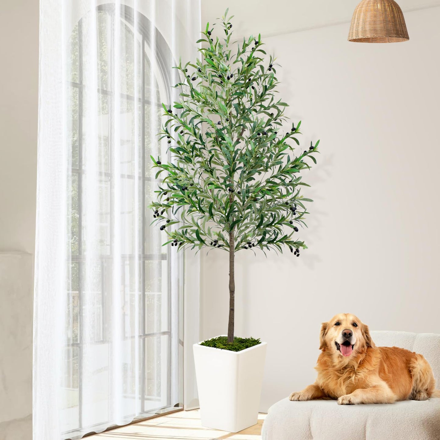 Olive Trees Artificial Indoor 7ft Tall Faux Silk Plant with Pot Realistic Leaves and Natural Wood Trunk Fake Trees