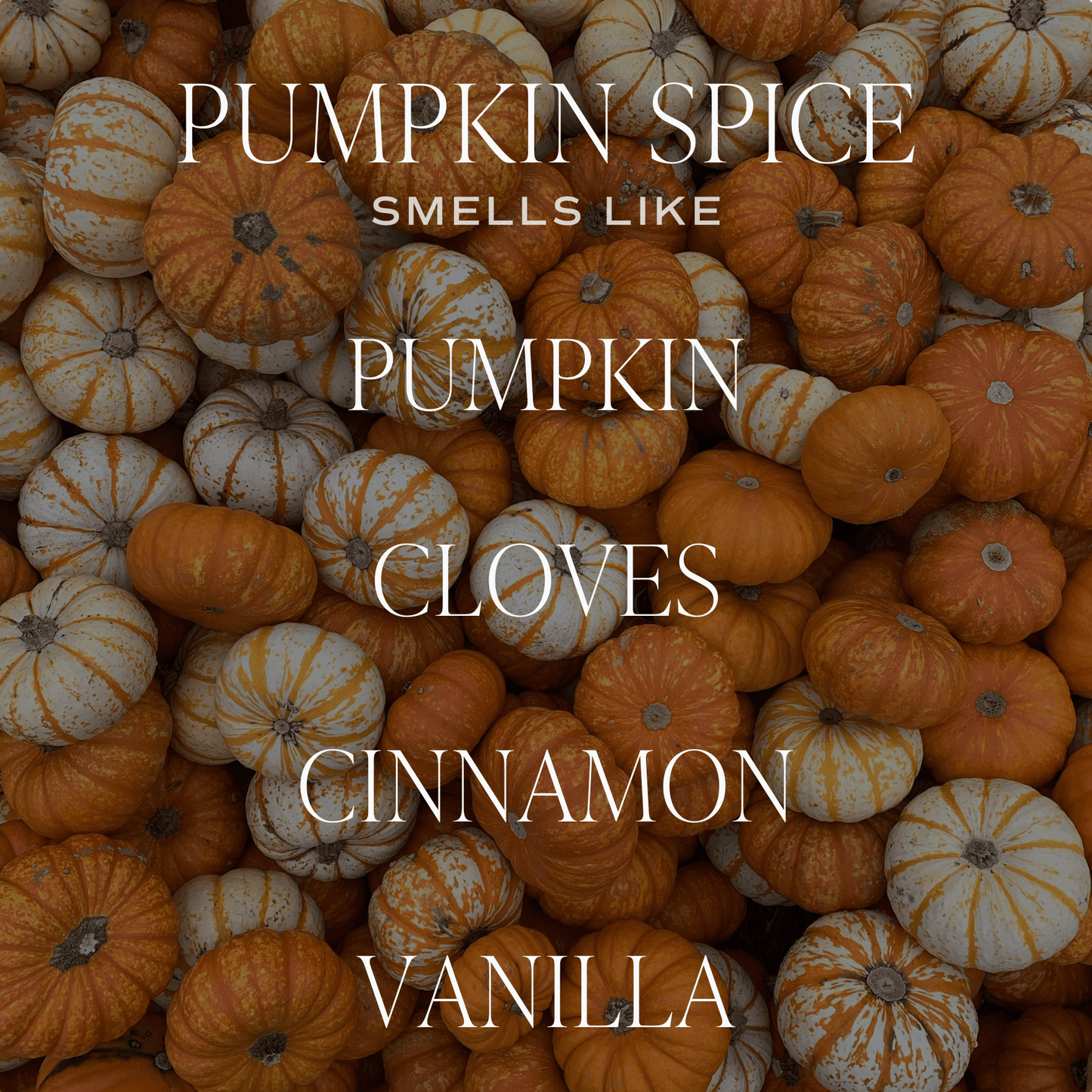 Pumpkin Spice Soy Candle - Patterned 9 oz - Clear Jar