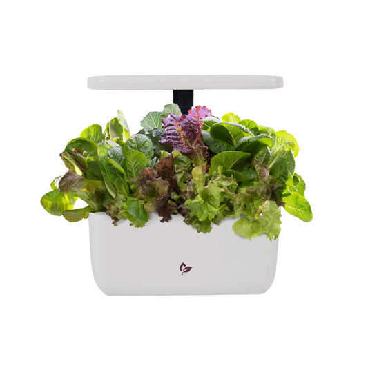 AeroGarden Harvest 2.0 Indoor Garden Hydroponic System with LED Grow Light Holds up to 6 AeroGarden Pods Cream