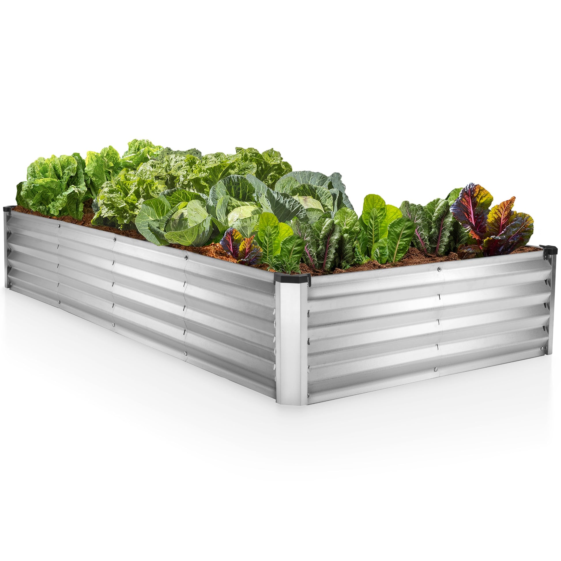 Galvanized Raised Garden Beds Outdoor // 6×3×1 ft Planter Raised Beds for Gardening Vegetables Flowers // Large Metal