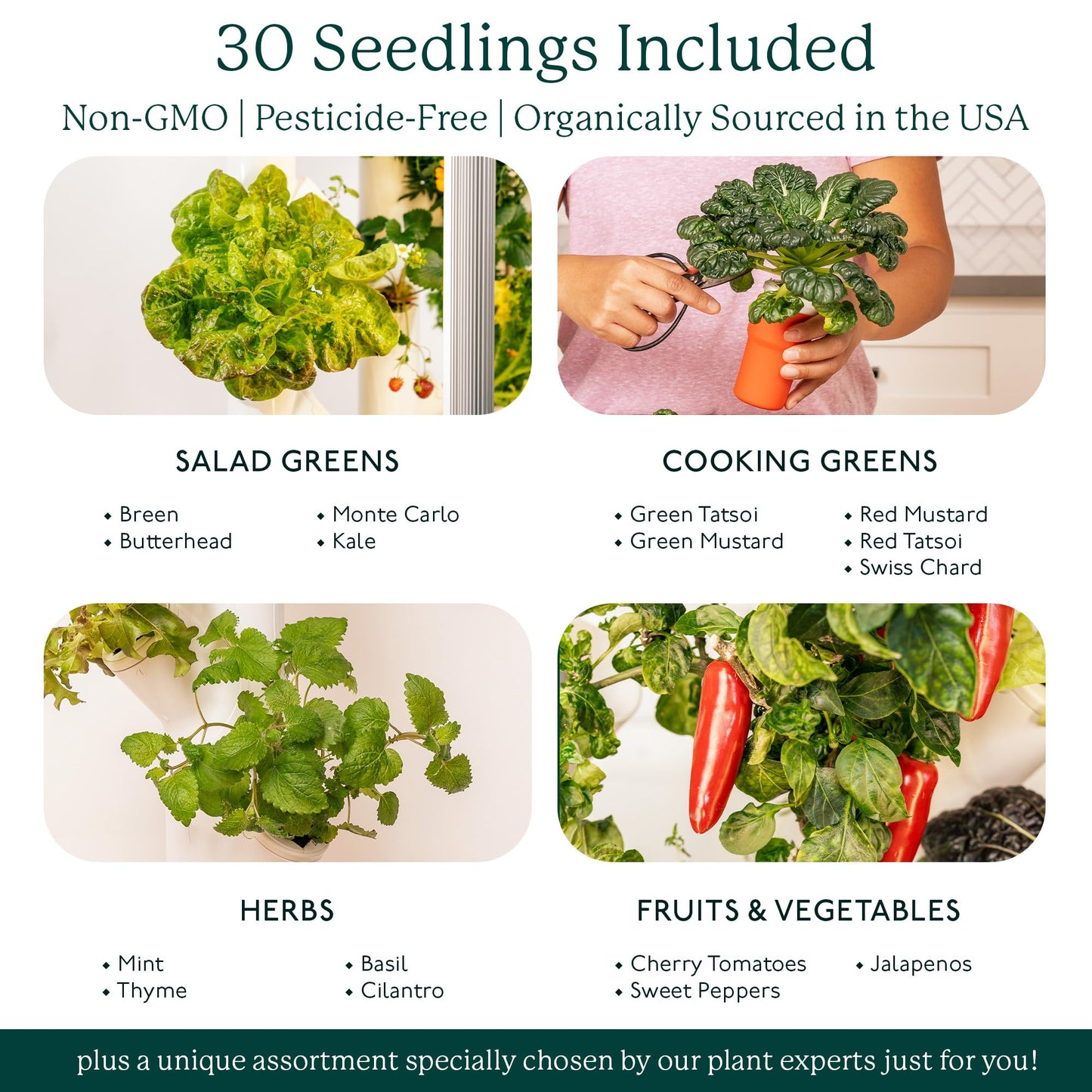 Gardyn 4.0 Hydroponics Growing System Kit & Vertical Garden Planter 30 Non-GMO Indoor Plants Smart Garden Herbs