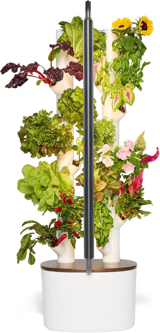 Gardyn Studio Hydroponics Growing System Kit & Vertical Indoor Garden Planter | Smart Herb Garden | Includes 16 Non-GMO