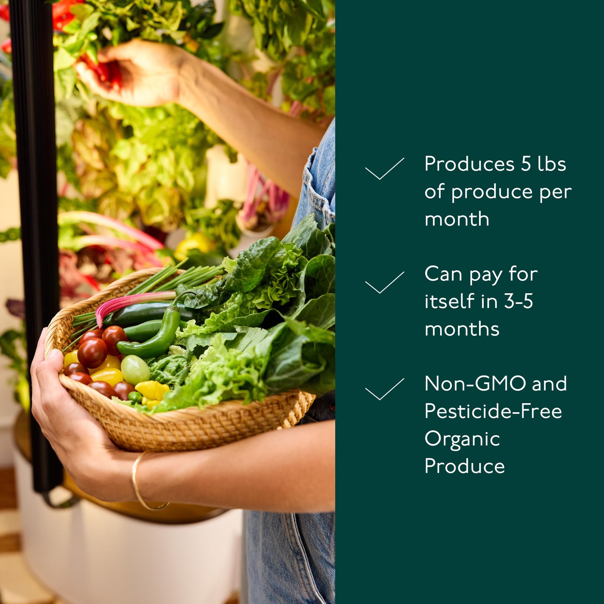 Gardyn Studio Hydroponics Growing System Kit & Vertical Indoor Garden Planter | Smart Herb Garden | Includes 16 Non-GMO
